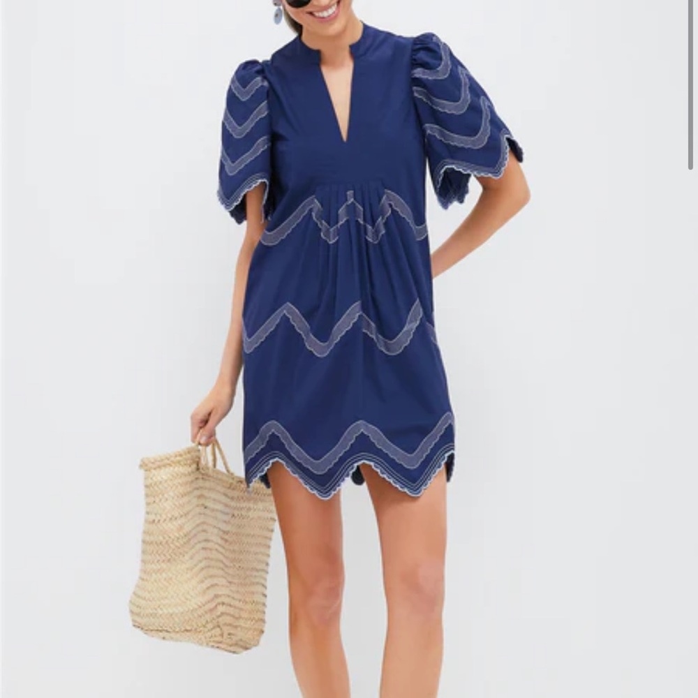 Chic Navy Midi Dress with Embroidered Details - Picture 2 of 8